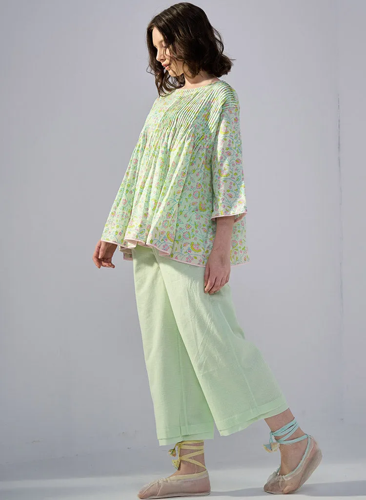 Parakeet Set