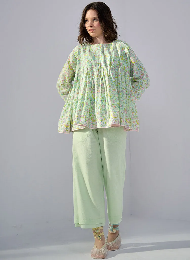 Parakeet Set