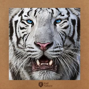 White Tiger Head T-Shirt Kids